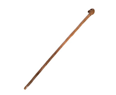 An antique walking stick, its pommel carved and painted in the form of a parrot's head, having glass eyes, early 20th Century