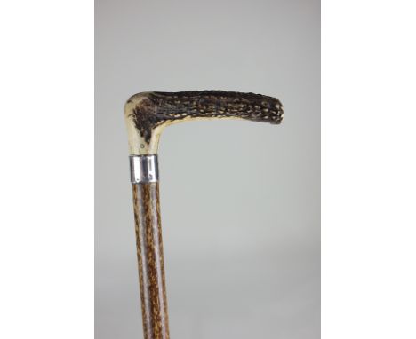 A Victorian silver collared horn handled cane walking stick, Birmingham 1898, containing a horse measure, 93cm