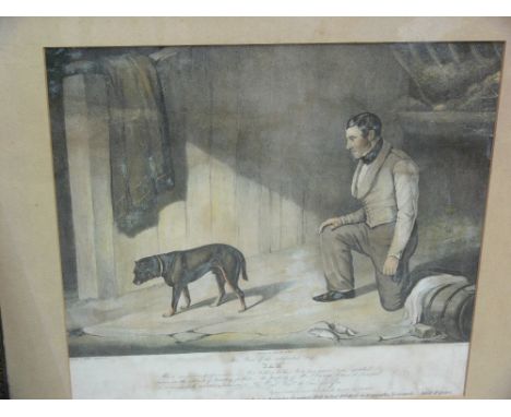 A MILLER, Liverpool print - portrait of the celebrated dog 'Sam', 34 x 38 cms