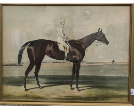 A collection of sporting related prints to include AFTER A.J. MUNNINGS "The Prince of Wales on Forest Witch" colour print 18 