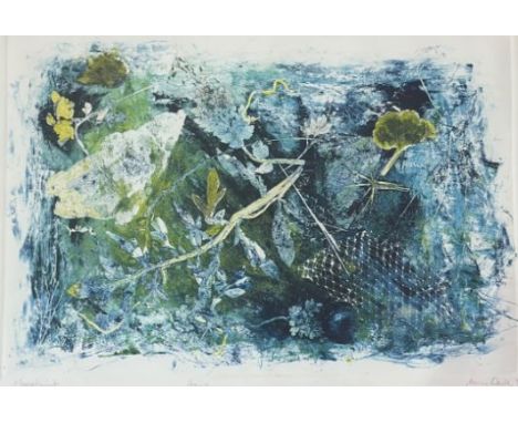 Nancy Black, Aqua mono print in a wooden glazed frame (signed pencil bottom right dated 96) (32cmx46cm)