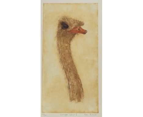 Susan Mitchell (British), Carrington Ostrich I, print 23/30, signed pencil bottom right in a glaze gilt frame. (49cmx25cm)