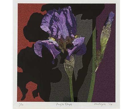 Bryce, Purple Flags print 1/10 in a glazed wooden frame, signed pencil bottom right dated 14. (21cmx22cm)