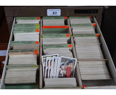 Filing drawers containing a large collection of Vintage cigarette cards