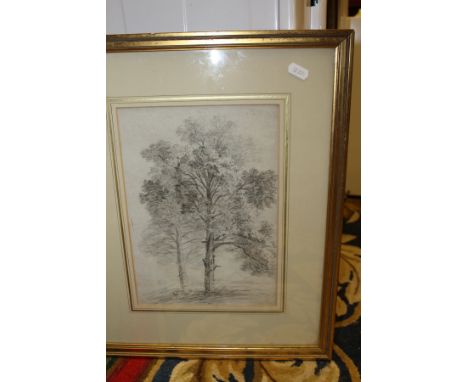 NORWICH SCHOOL "Study of trees", pencil, unsigned, together with WILLIAM TATTON WINTER "Near the South Downs", watercolour, s
