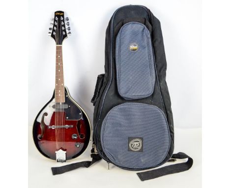 Stagg mandolin, model number M50E, body length 36cm with soft case.