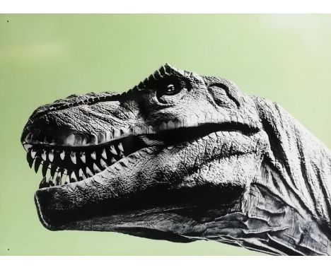CONTEMPORARY SCHOOL, 75cm x 100cm, 'Head of a Dinosaur', print on aluminium panel. 