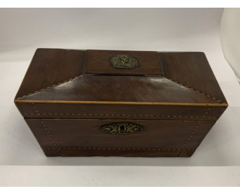 A 19TH CENTURY MAHOGANY SARCOPHAGUS SHAPE TEA CADDY WITH INNER COMPARTMENTS AND GLASS VASE 