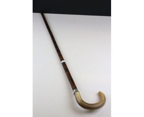 Walking Stick with Horn Handle and Silver Band 