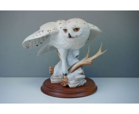 A Franklin Mint hand painted porcelain Snowy Owl on wooden plinth. 