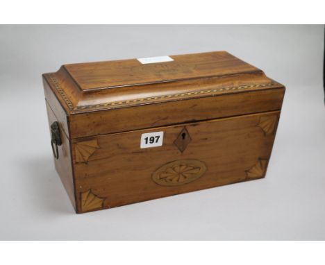 A Regency inlaid satinwood tea caddy