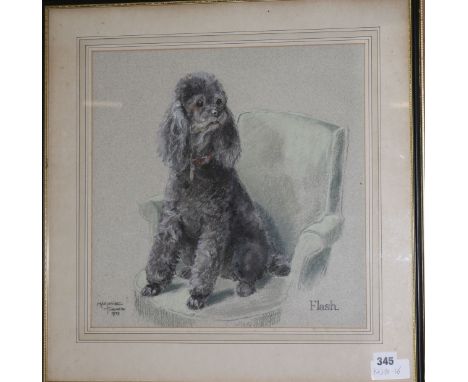 Marjorie Turner, pastel, portrait of a black poodle, signed and dated 1979, 38 x 37cm