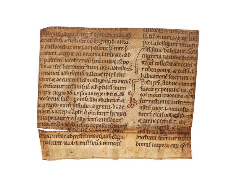 Cutting from a Psalter Commentary, in Latin, manuscript in parchment [England, late eleventh century or early twelfth century
