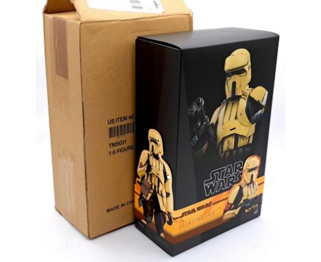 Hot Toys Star Wars Shoretrooper TMS031 1/6 scale collectable figure, Excellent to Near Mint, Complete, within Excellent packa