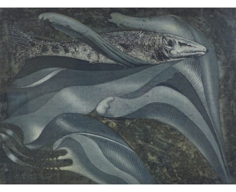 Ferdynand ..., coloured etching, fish and kelp, indistinctly signed in pencil, plate size 15" x 19.5", framed 