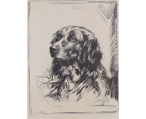 Nicolson, lithograph, gun dog, signed in pencil, image size 12" x 9", framed 