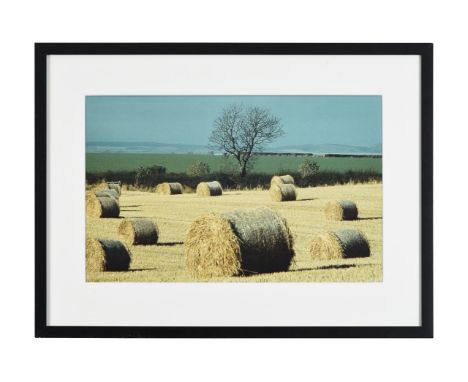 λ ADAM BUTLER (BRITISH B. 1965)RATHO R-type print Signed, dated 1998 and numbered 1/30 to artist's label (attached verso)Over