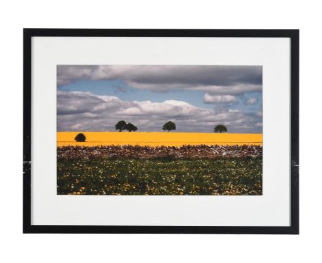 λ ADAM BUTLER (BRITISH B. 1965)THE COTSWOLDS R-type print Signed, dated 1995 and numbered 15/30 to artist's label (attached v