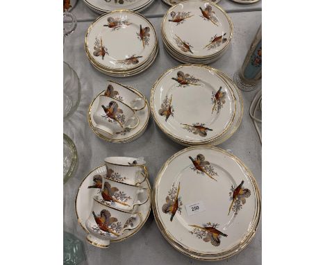 A SHERIDAN PART TEASET TO INCLUDE VARIOUS SIZED PLATES, CUPS AND SAUCERS WITH PHEASANT DESIGN 