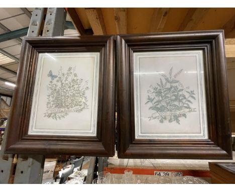 A PAIR OF FRAMED BOTANICAL PRINTS 