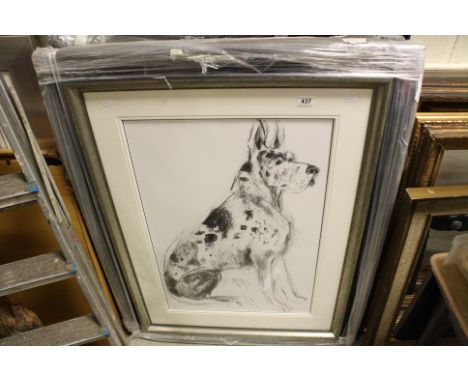 April Shepherd (British 20th century), Dog Portrait II, study of a Great Dane, large charcoal drawing on paper, signed with m