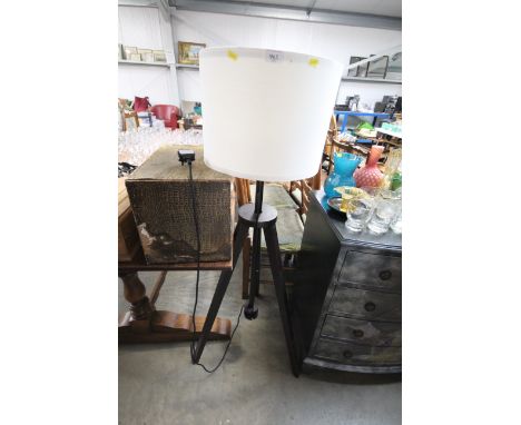 A modern design standard lamp