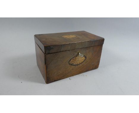 A 19th Century Shell Inlaid Two Division Mahogany Tea Caddy, 19.5 cm Wide 