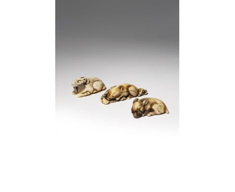 THREE JAPANESE IVORY NETSUKE OF RECUMBENT MAMMALS EDO PERIOD AND LATER, 18TH AND 19TH CENTURY Two carved as boars, one lying 