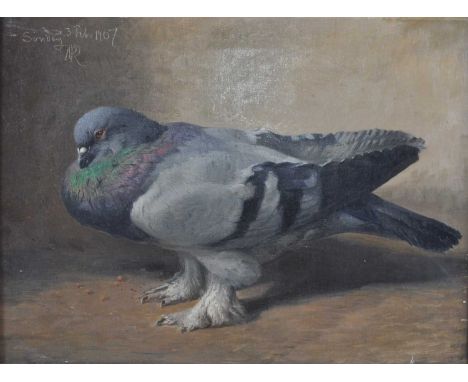 Niels Peter Rasmussen (Danish 1847-1918) - A Prize Pigeon, oil on canvas, signed with monogram upper left and dated Sunday 3 