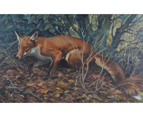 § John Theodore Kenney (1911-1972) - A fox in covert, oil on canvas, signed and dated '62 lower right, 55 x 90cmAppears untou