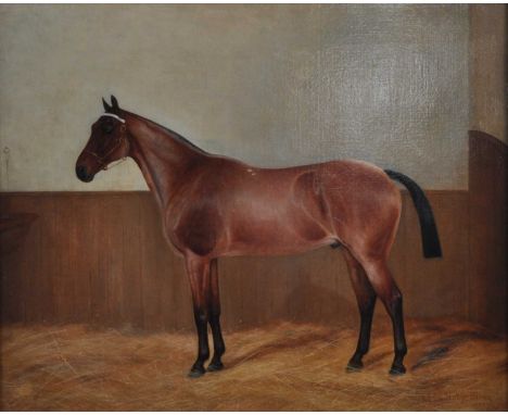 Albert Edward D G Stirling-Brown (act.1896-1929) - Portrait of a bay thoroughbred in his stable, oil on canvas (re-lined), si