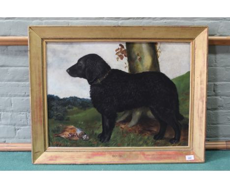 A framed oil portrait of black retriever with partridge in a landscape setting inscribed on frame "Bounce" signed 'A. Gainham