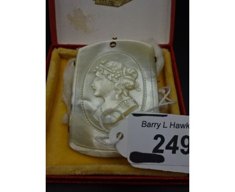 A Mother of Pearl Brooch in box 