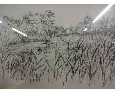 Anthony day signed pencil sketch of Sedge Fen Walk (65 x 50)cm