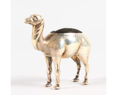 A LARGE CAMEL PIN CUSHION. Birmingham 1905.  Maker: HVP & Co.  7cms long, 6.5cms high.