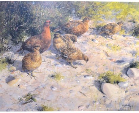 Rodger McPhail (b.1953)
'Grouse Family'
Reproduction print, signed in pencil 304/500, 36 x 44cm 