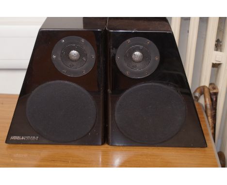 Pair of Meridian Speakers (Used and Chip to One Speaker)