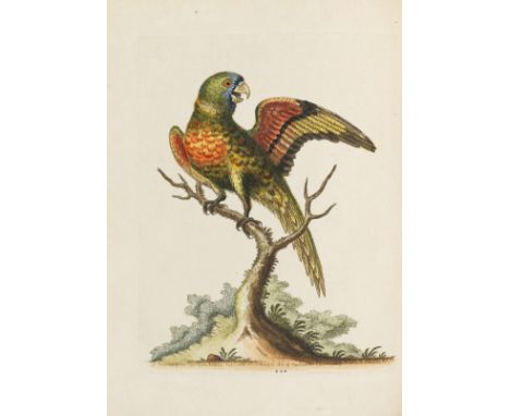 George Edwards     Histoire naturelle d'oiseaux peu communs. Band I (von 4). - Und: Gleanings of natural history. Band I (von