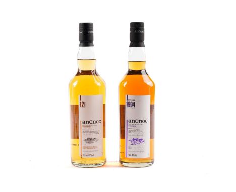 Two Bottles of Ancnoc Highland Single Malt Scotch Whisky, 1994 14-year-old bottled in February 2008 and 12-year-old, both 70c
