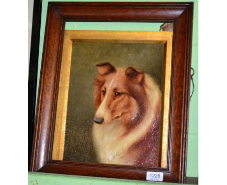 Framed oil on canvas portrait of a brown collie dog, signed Brownlow 