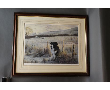 Stephen Townsend signed Limited Edition print "First Light", depicting a Collie dog with sheep, 13/600, with Northern Edition