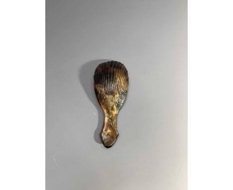 A rare George III tortoiseshell caddy spoon with a vacant escutcheon.