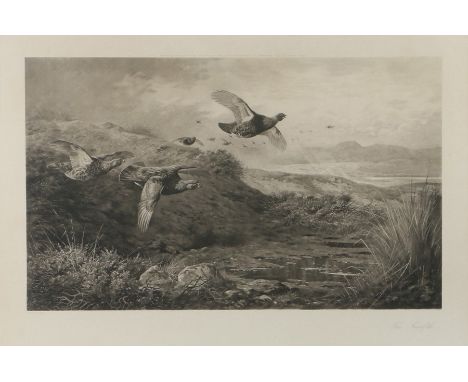 After Archibald Thorburn, The Twelfth, print 
