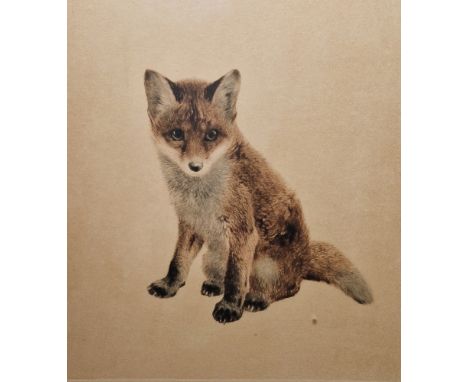 Kurt Meyer-Eberhardt (German, 1895-1977) Coloured etching Three animal studies to include a fox cub, foal and fawn, each sign