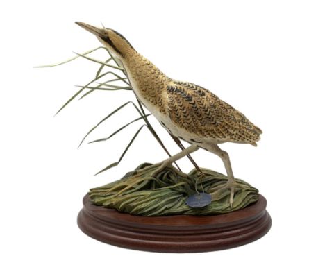 Border Fine Arts limited edition model 'Bittern', model no. B1147, designed by Ray Ayres and signed beneath, no. 109/250, wit