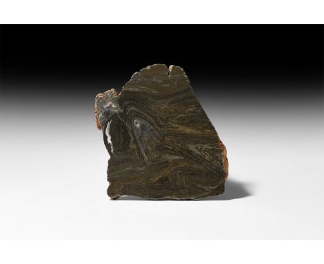 Mesoproterozoic Period, 1.6-1.0 billion years BP. A slab of stromatolite polished on one face to reveal the sedimentary struc
