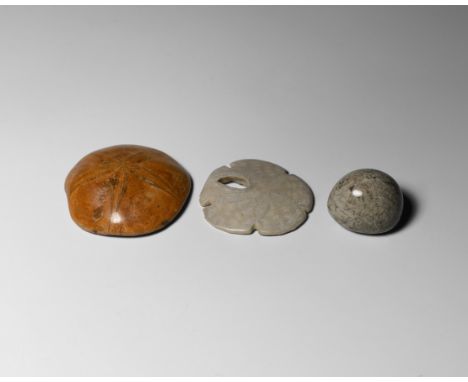 Cretaceous to Pliocene Period, 100-2.5 million years BP. A group of fossils comprising: three polished fossil sea urchins; a 