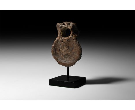 Upper Jurassic Period, 150 million years BP. A fossil Ichthyosaurus communisdorsal vertebra with neural arch; on a custom-mad