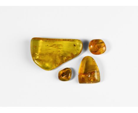 Oligocene Period, 45 million years BP. A group of four polished amber pieces comprising: a large piece of copal containing a 