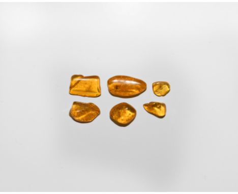 Oligocene Period, 45 million years BP. A group of six pieces of Baltic amber, all containing flies and other inclusions.   1.